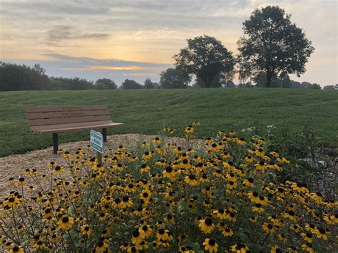 Comprehensive Directory of Funeral Homes in Bartonville, Illinois