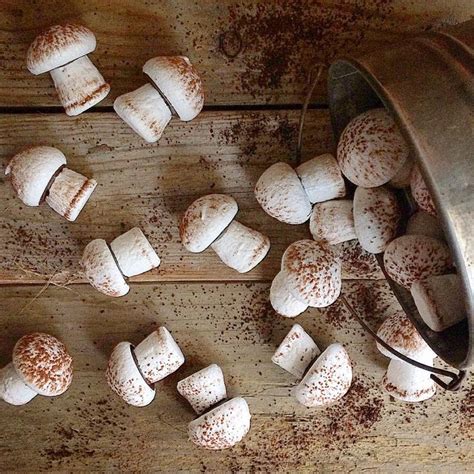 Foraging Mushroom Meringues From Maida Heatter S Book Of Great