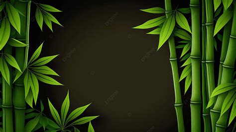 Bambu Folhas De Bambu Fundo Da Planta Bambu Folhas De Bambu Plantar