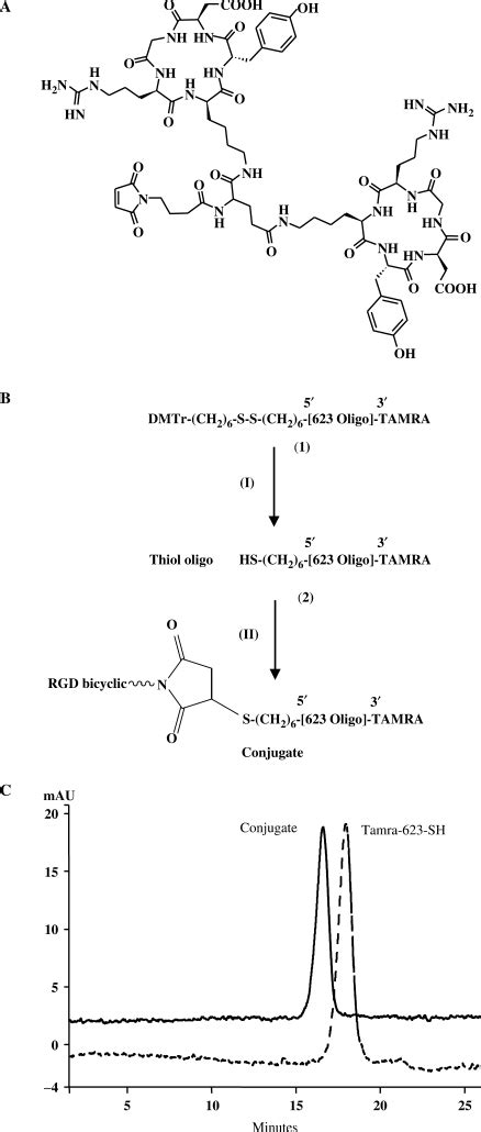 A Chemical Structure Of The Maleimide Bicyclic Rgd Peptide The