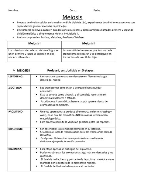 Meiosis I Y II Nombre Curso Fecha Meiosis Proceso de división