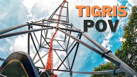 Tigris Pov Busch Gardens Tampa K Youtube