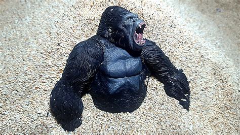 Menemukan King Kong Di Dalam Pasir Mencari Dan Menemukan Harta Karun