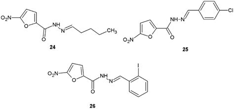 Ijms Free Full Text Updated Information On Antimicrobial Activity Of Hydrazide Hydrazones