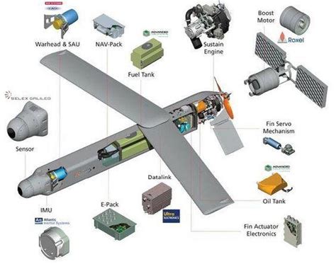 Plane Parts Labeled - Learn About Aircraft Anatomy