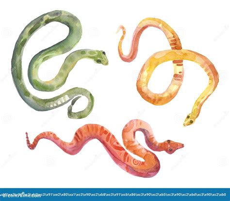 Small Striped Multicolored Snakes Watercolor Isolated Illustration