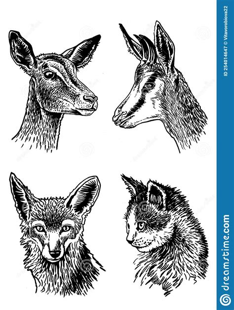 Vector Set Of Portraits Of Animals Kitten Deers And Fox Heads On