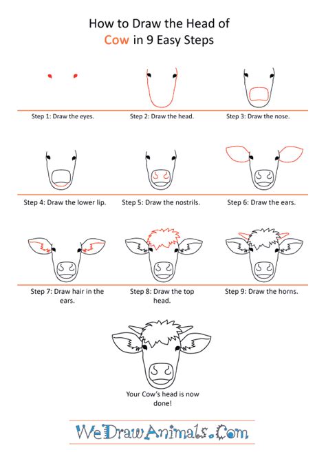 How To Draw A Easy Cow Face - All About Cow Photos