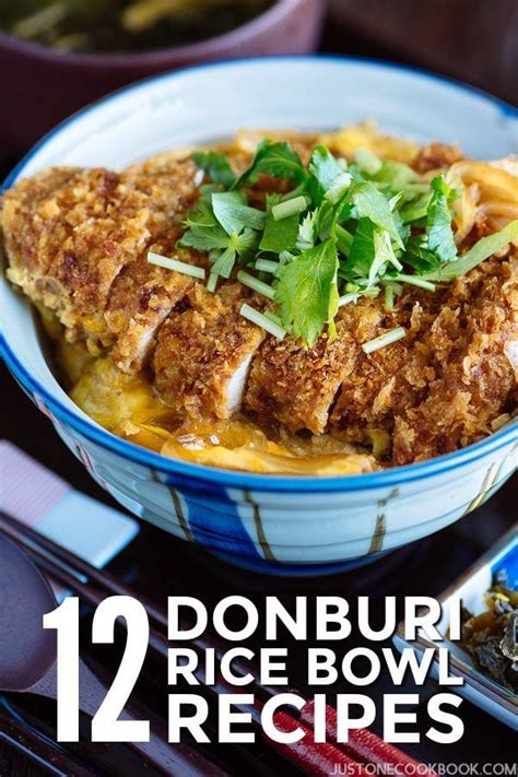 12 Donburi (Japanese Rice Bowls) Recipes • Just One Cookbook