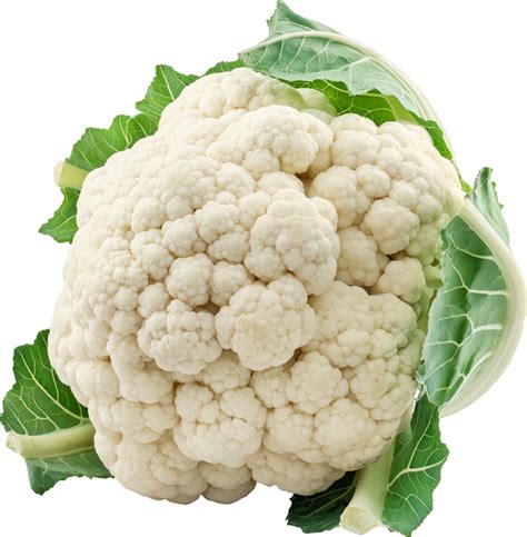 Fresh white cauliflower vegetable isolated on a transparent background ...