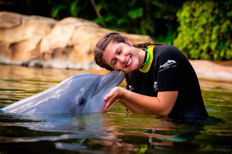 Discovery Cove: Complete Guide and Overview | Orlando Informer