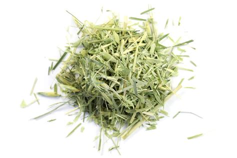 Organic Oatstraw Loose Bulk Herbs Avena Sativa The Healing Sanctuary