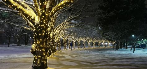 Idaho Falls Christmas Light Installation | Senske Services