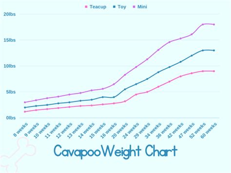 Complete Cavapoo Size Guide (Including Growth Charts) – AnimKy