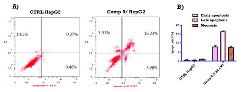 Compound 9 Induces Apoptosis In Hepg2 Cells A Hepg2 Cells Were