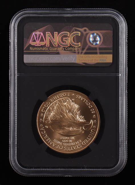 2023 Liberty Gold Eagle Head $50 Fifty-Dollar Gold Coin (NGC MS70) | Pristine Auction