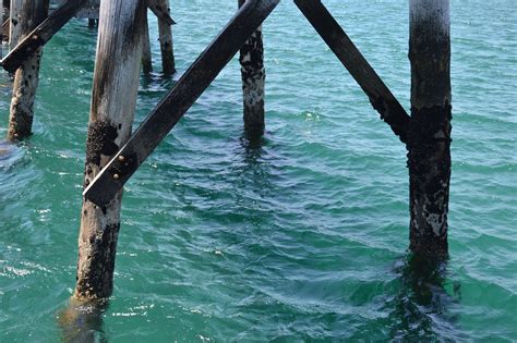 Pier Jetty Sea Free Photo On Pixabay Pixabay