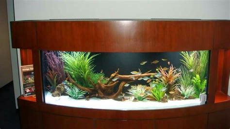 20 Best Aquarium Set Up Ideas Images On Pinterest Aquarium Set Aquarium Ideas And Aquarium Setup