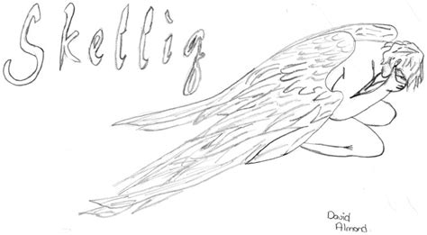 Skellig David Almond X By Jemmjayy94 On Deviantart