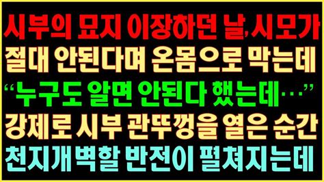 반전실화사연 시부의 묘지 이장하던 날 시모가 절대 안 된다며 온 몸으로 막는데 “누구도 알면 안 된다 했는데” 강제로