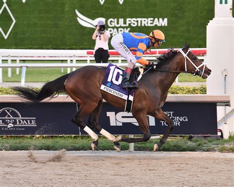 Fierceness scores early knockout in Florida Derby | News | Kentucky Derby