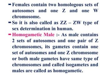 Sex Determination In Birds PDF