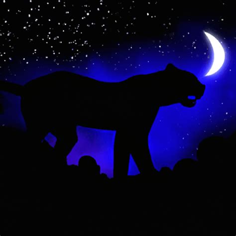 Bright Black Panther Night Skies · Creative Fabrica