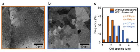 Representative Cellular Structures Of Am Fabricated 316l Stainless