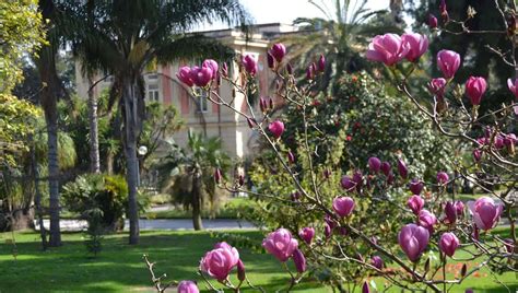 Orto Botanico Di Napoli L Oasi Verde Nel Cuore Della Citt