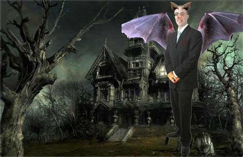 Fuck Doors I M A Cat R Gifs