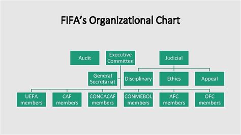 Football Organizational Chart