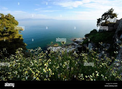 beautiful sunny landscape stock photo alamy