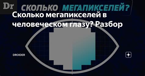 Сколько мегапикселей в человеческом глазу? Разбор | Droider | Дзен
