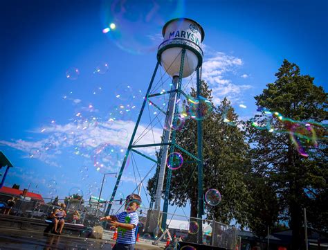 A local guide to the best food in marysville wa right now 5