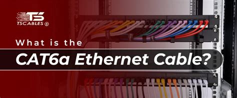 Explained: What is Cat6a Ethernet Cables? | TS Cables