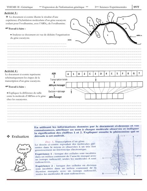 Expression Information Tique Ii