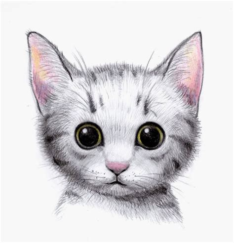 Comment Dessiner Un Chat Facile Et Mignon Communauté MCMS