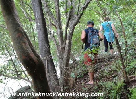 Picture Gallery Sri Lanka Knuckles Trekking Kandy Adventure Hiking