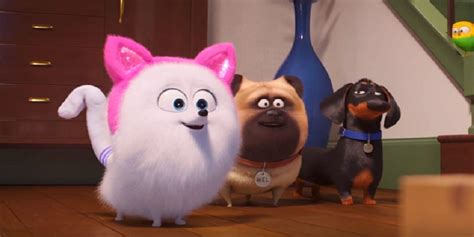 La Vida Secreta de tus Mascotas película se estrena en febrero por