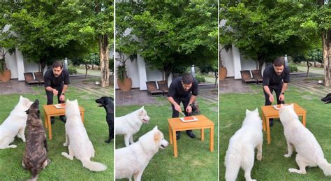 Watch MS Dhoni celebrate PAWFECT birthday in Ranchi Farmhouse in ...