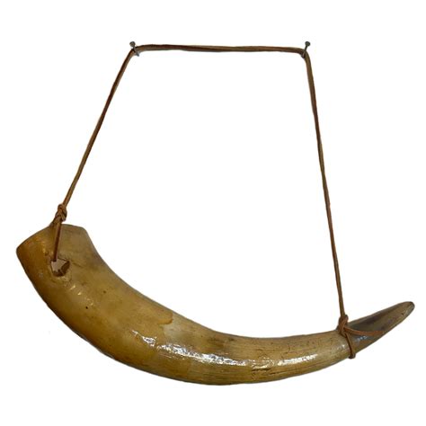 Cow Horn With Leather Strap Perch