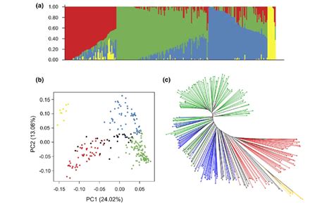 Population Structure And Genetic Diversity Of The Capsicum Annuum