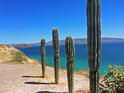 Peninsula Picks 5 Dream Destinations Discover Baja Travel Club