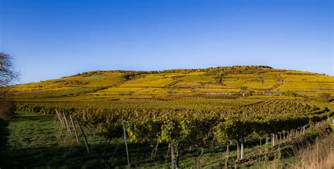 Schloss Gobelsburg Ried Gaisberg Kamptal Reserve Riesling Erste Lage