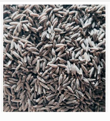 Homeboon Brown Cumin Seeds Kg At Rs Kg In Kinchan Id