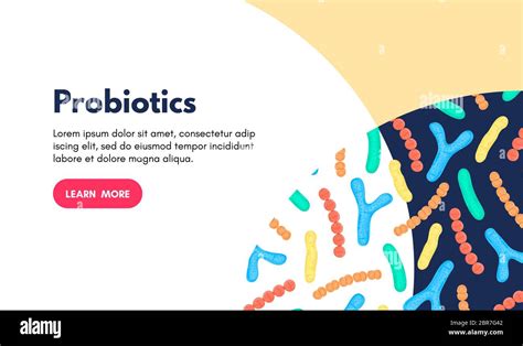 Vector Background With Probiotics Bifidobacterium Lactobacillus