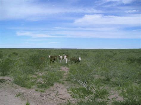 Estancias Campos Rio Negro San Antonio Oeste Ha Campo