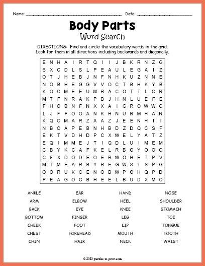 Body Parts Word Search