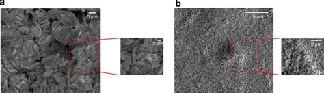 Scanning electron microscopy of thin films. SEM micrographs at a high ... 