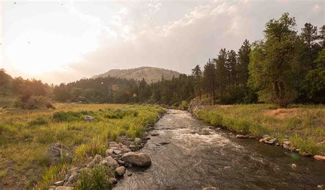 Stantec Named Partner In United Nations Decade On Ecosystem Restoration